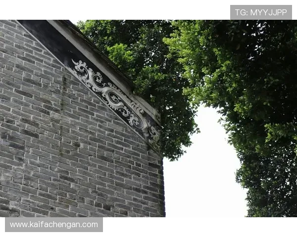 探索娱乐凯发官网丰富多样的游戏资源,打造属于你的专属娱乐休闲新天地 探索娱乐凯发官网丰富多样的游戏资源,打造属于你的专属娱乐休闲新天地